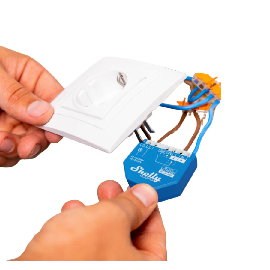 Shelly Wave 1 - Image 3