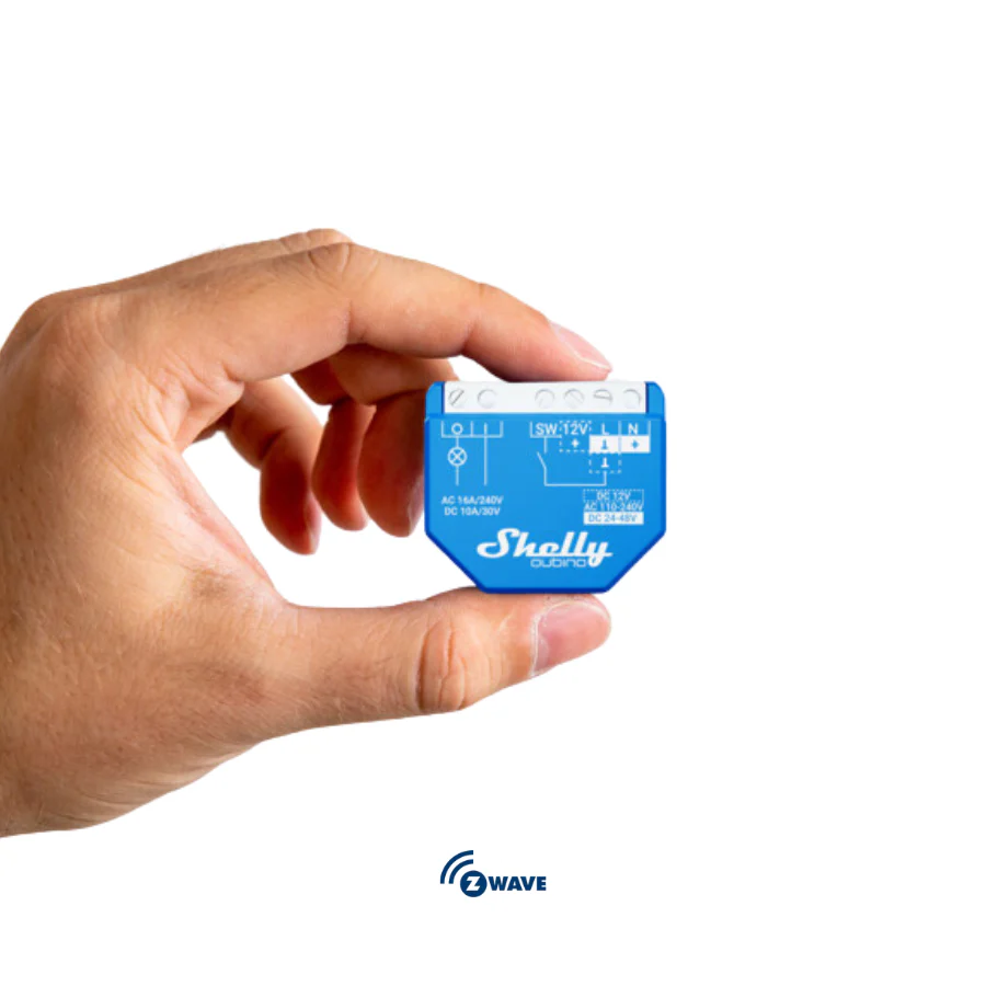 Shelly Wave 1 - Image 4